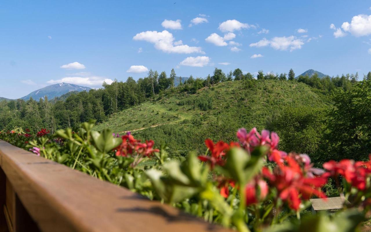 B&B Goesselsdorfer Seeblick Sittersdorf エクステリア 写真